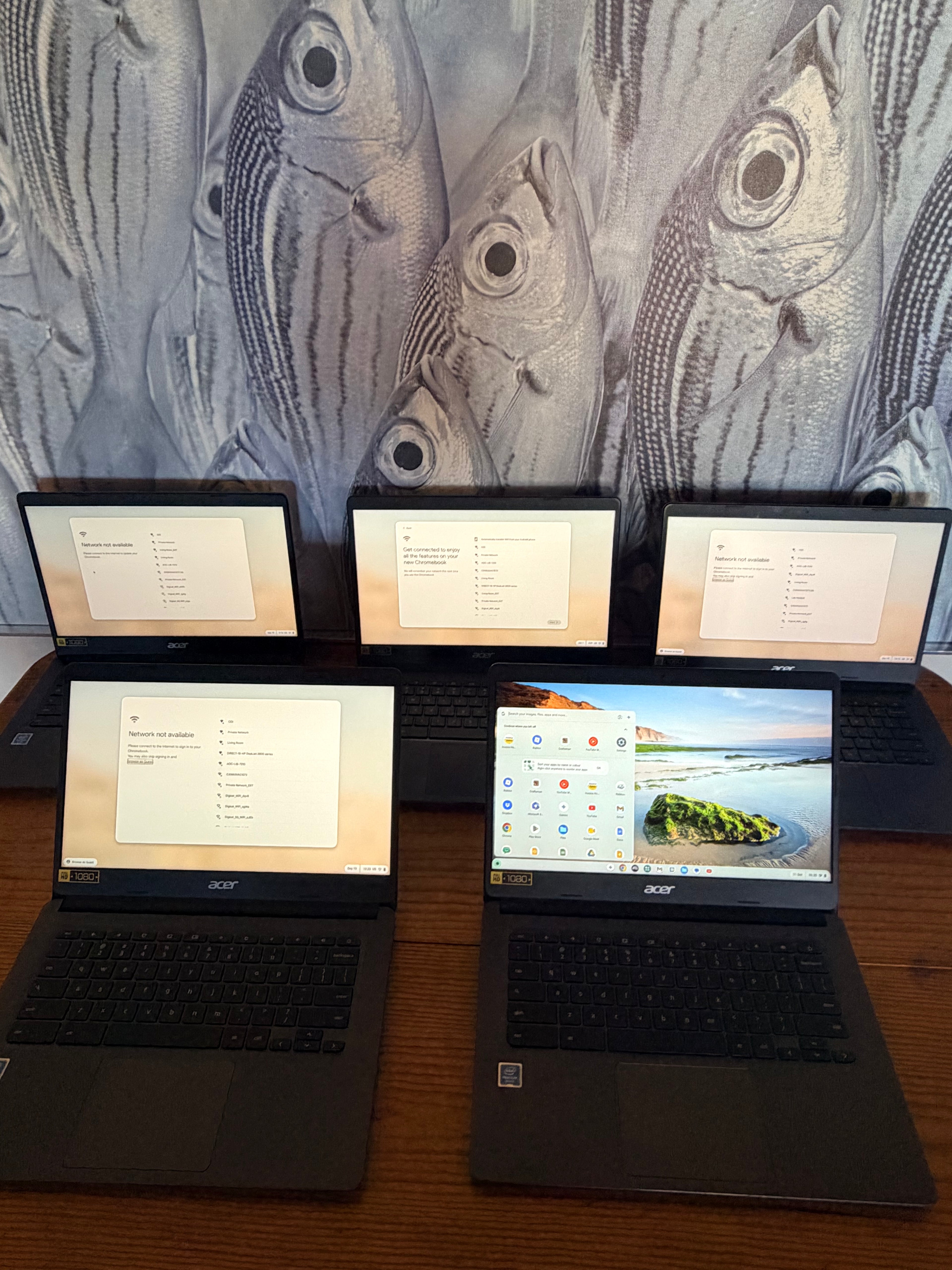 💻 ACER CHROMEBOOK 314 C933 – TOUCHSCREEN 14”